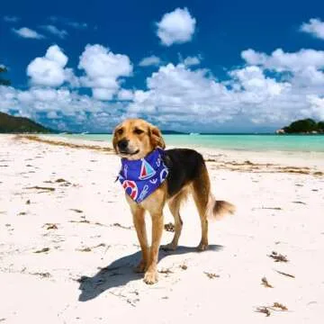 Xuniea 8 Pcs Nautical Dog Bandana Summer Puppy Bandanas Dog Ocean Triangle Scarf Adjustable Washable Pet Bibs Birthday Party Gifts