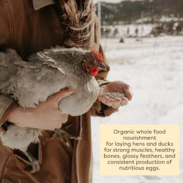 Scratch and Peck Whole Grain Layer Pellets Chicken and Duck Feed - Corn-Free and Soy-Free - 16% Protein, Certified Organic and Non-GMO Project Verified Chicken Food - 25 lbs Bag