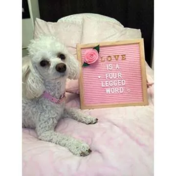 Stylish Pink Felt Letter Board with Gold Letters and Emojis