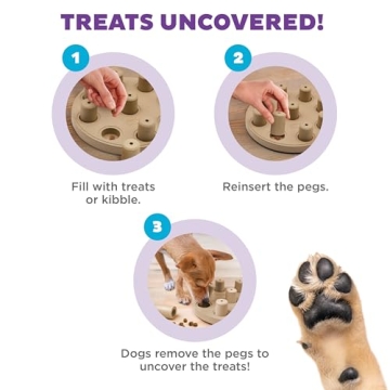 Outward Hound Dog Smart Puzzle Toy for Mental Stimulation