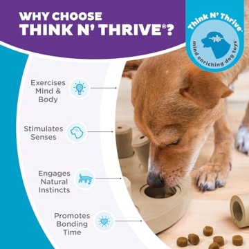 Outward Hound Dog Smart Puzzle Toy for Mental Stimulation