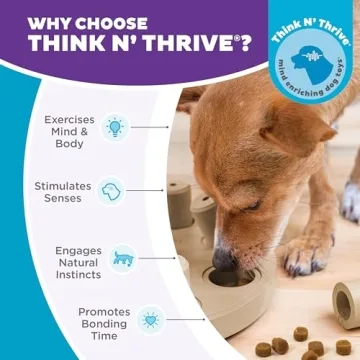 Outward Hound Dog Smart Puzzle Toy for Mental Stimulation