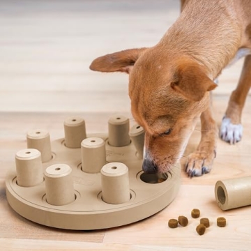 Outward Hound Dog Smart Puzzle Toy for Mental Stimulation