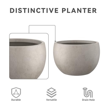 Kante 19.9" Concrete Planter for Indoor Outdoor Use
