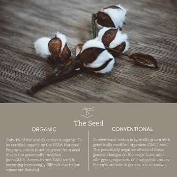 Coyuchi Organic Waffle Robe for Ultimate Comfort