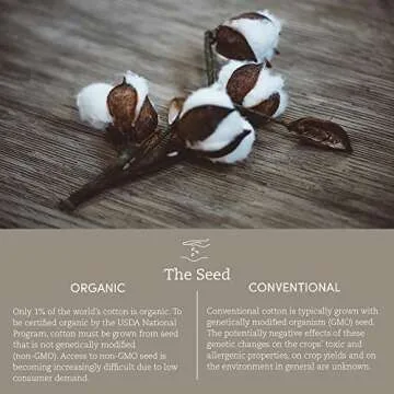 Coyuchi Organic Waffle Robe for Ultimate Comfort