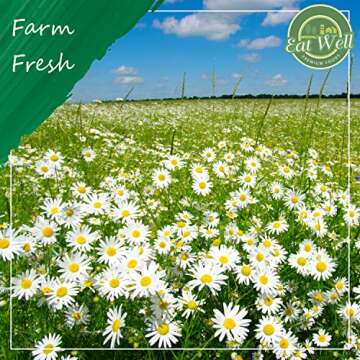 Eat Well Premium Foods Chamomile Flowers 4 oz, Dried Chamomile Tea Loose Leaf, Edible Culinary Camomile Herb for Drinking and Cooking, Versatile Camomile Dried Herbs and Flowers in Resealable Bag