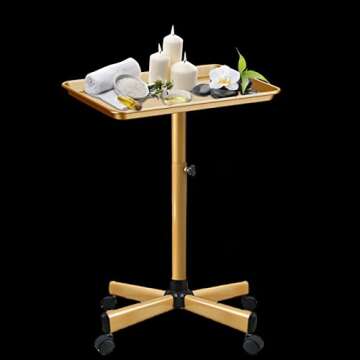 Retain Time Premium Aluminum Salon Tray, Sturdy Corrosion-Resistant Adjustable Tray is Used for Salon Tray on Wheels, Salon Tool/Color Tray, Beauty Spa Tray, Dentist Tray, Etc.…(Gold)