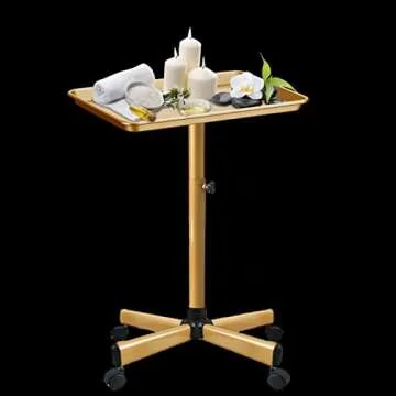 Retain Time Premium Aluminum Salon Tray, Sturdy Corrosion-Resistant Adjustable Tray is Used for Salon Tray on Wheels, Salon Tool/Color Tray, Beauty Spa Tray, Dentist Tray, Etc.…(Gold)