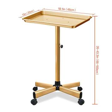 Retain Time Premium Aluminum Salon Tray, Sturdy Corrosion-Resistant Adjustable Tray is Used for Salon Tray on Wheels, Salon Tool/Color Tray, Beauty Spa Tray, Dentist Tray, Etc.…(Gold)