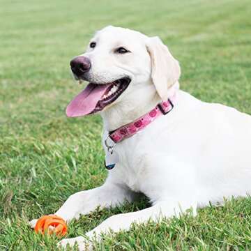 Chuckit! Air Fetch Ball Dog Toy - Size Large - For Dogs 60-100 lbs - Bouncy and Durable - Hollow Design - 3-inch Diameter - Pack of 1