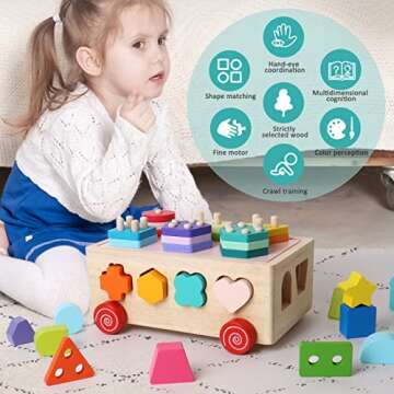 Montessori Shape Sorting Toys for Toddlers and Kids