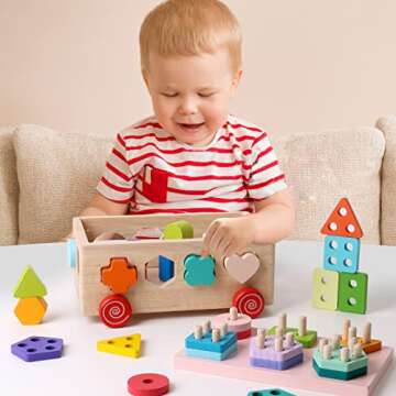 Montessori Shape Sorting Toys for Toddlers and Kids