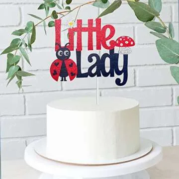 Little Lady Ladybug Happy Birthday Cake Topper - Baby Shower Little Ladybug Spring Bugs Cake Topper - 1st Ladybug Birthday Cake Supplies