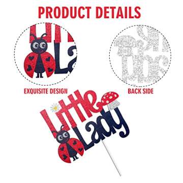 Little Lady Ladybug Happy Birthday Cake Topper - Baby Shower Little Ladybug Spring Bugs Cake Topper - 1st Ladybug Birthday Cake Supplies