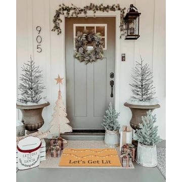 Winter Front Door Mat - Festive & Non-Slip 17x30 Inch
