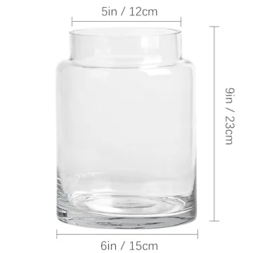 KOIUEYW Clear 9 Inch Flower Vase for Centerpieces