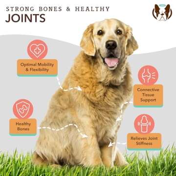 Natural Dog Company Healthy Joints, Skin and Coat Bundle for Dogs, Includes (1) Bottle Natural Dog Company Skin and Coat Oil, (1) Bottle Liquid Glucosamine, Food Topper, Dog's Fish Oil Supplement