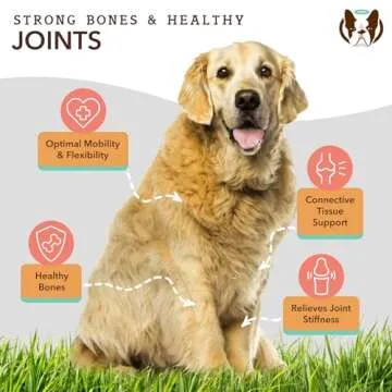 Natural Dog Company Healthy Joints, Skin and Coat Bundle for Dogs, Includes (1) Bottle Natural Dog Company Skin and Coat Oil, (1) Bottle Liquid Glucosamine, Food Topper, Dog's Fish Oil Supplement