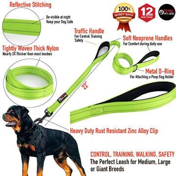 Primal Pet Gear Dog Leash 6ft Long with Reflective Double Handles and Heavy Duty Design