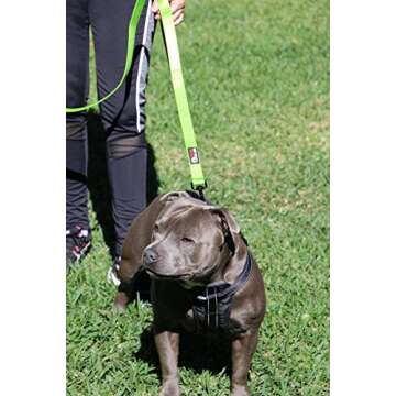 Primal Pet Gear Dog Leash with Padded Handles for Comfort