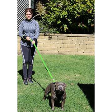 Primal Pet Gear Dog Leash with Padded Handles for Comfort