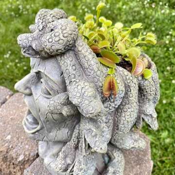 Darware Medusa Head Planter - Unique Garden Decor for All