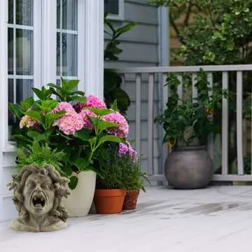 Darware Medusa Head Planter - Unique Garden Decor for All