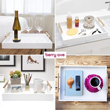 Elegant Nesting Decorative Trays with Polished Handles