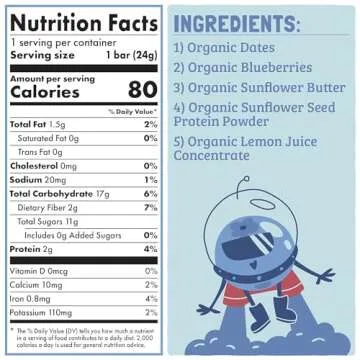 SKOUT Organic Blueberry Blast Snack Bars - Healthy Kids Treats