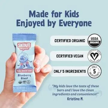 SKOUT Organic Blueberry Blast Snack Bars - Healthy Kids Treats