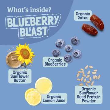SKOUT Organic Blueberry Blast Snack Bars - Healthy Kids Treats
