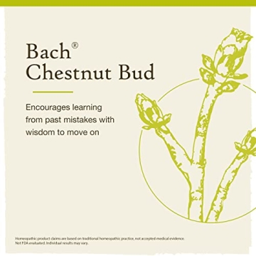 Bach Chestnut Bud Flower Essence for Learning and Wellness