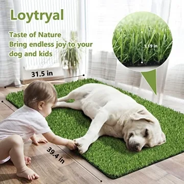 Loytryal 39.4 x 31.5-Inch Artificial Grass Mat for Dogs