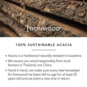 Ironwood Lucca Mini Pizza Peel - Acacia Wood