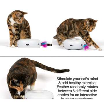 Best Cat Toys for Active Cats and Playtime Fun