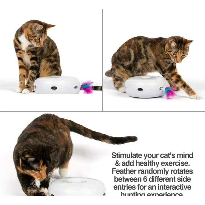 Best Cat Toys for Active Cats and Playtime Fun