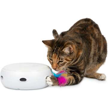 Best Cat Toys for Active Cats and Playtime Fun
