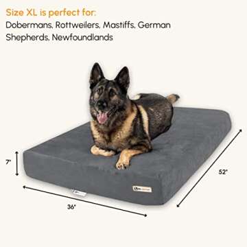 Big Barker Sleek Orthopedic Dog Bed - 7” Dog Bed for Large Dogs w/Washable Microsuede Cover - Slee...