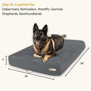 Big Barker Sleek Orthopedic Dog Bed - 7” Dog Bed for Large Dogs w/Washable Microsuede Cover - Slee...