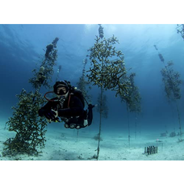 Stream 2 Sea EcoStick SPF 35 Mineral Sunscreen for All