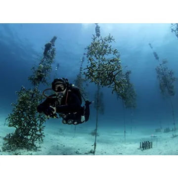 Stream 2 Sea EcoStick SPF 35 Mineral Sunscreen for All