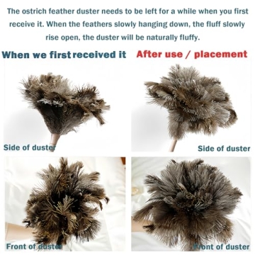 Ostrich Feather Duster for Gentle and Effective Cleaning