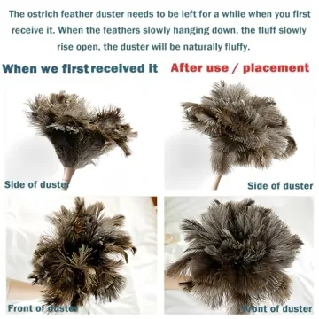Ostrich Feather Duster for Gentle and Effective Cleaning