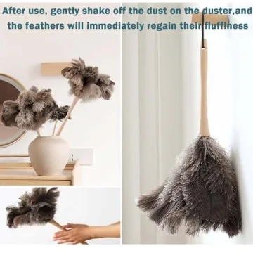 Ostrich Feather Duster for Gentle and Effective Cleaning