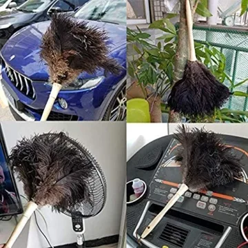 Ostrich Feather Duster for Gentle and Effective Cleaning