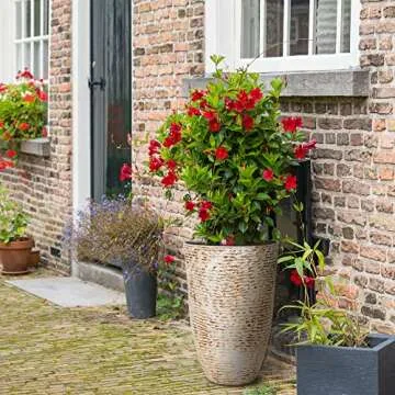 Worth 9 Gallon Tall Round Planters Set of 2-14" Dia x 21" H Stone Finish Flower Pots Indoor Decorative Container Garden Patio Unbreakable Beige