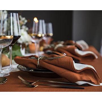 Elegant Solino Home Pure Linen Napkins Set of 4