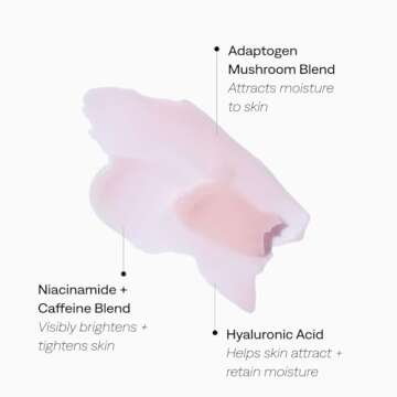 Provence Beauty No Baggage Adaptogen Eye Cream – For Fine Lines – Moisturizing Eye Cream Hydrates and Depuffs – Dark Circle Eye Cream – Firms Skin