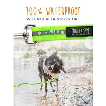 Mighty Paw Waterproof Dog Leash with Reflective Safety Stripe